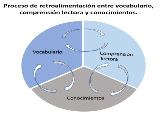 familia y desarrollo linguistico